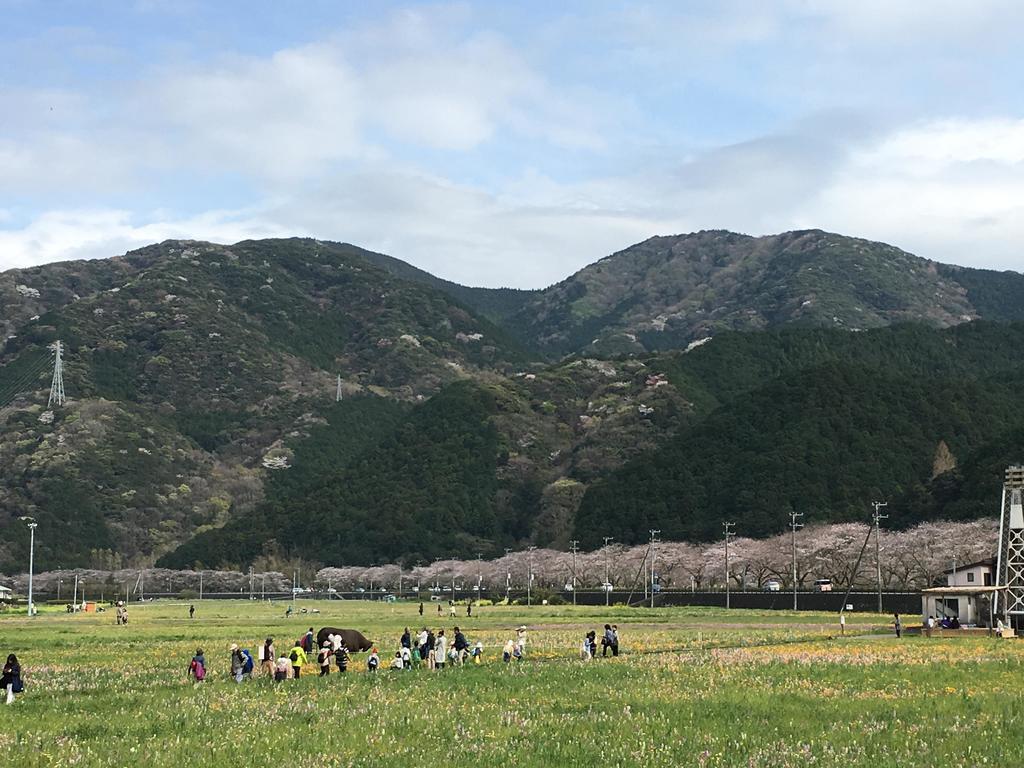 Dogashima Onsen Hotel Nishiizu Zewnętrze zdjęcie