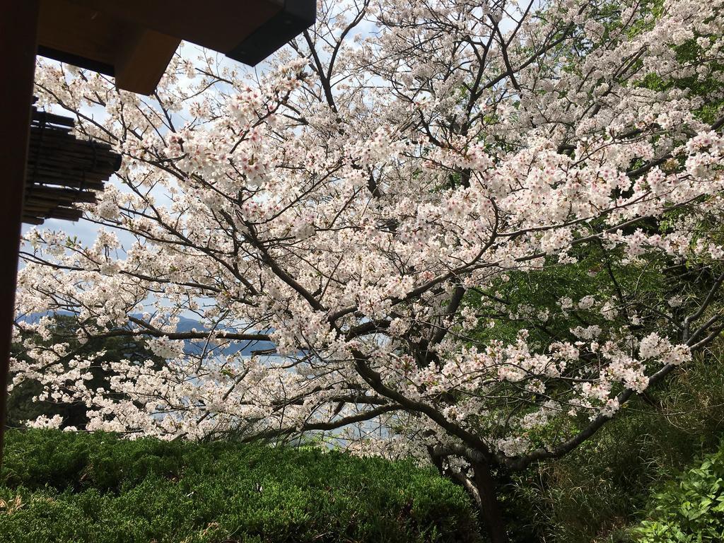 Dogashima Onsen Hotel Nishiizu Zewnętrze zdjęcie