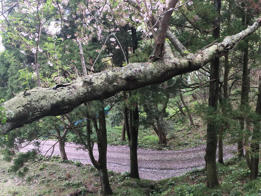 Dogashima Onsen Hotel Nishiizu Zewnętrze zdjęcie