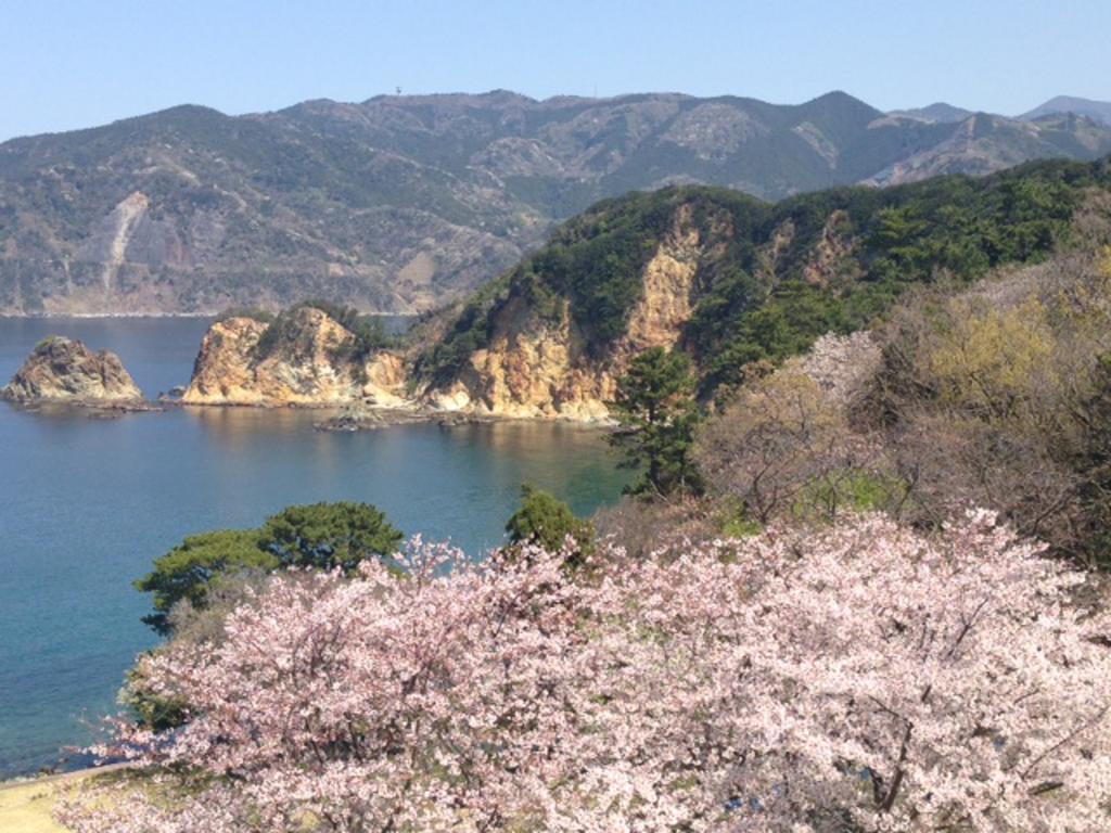 Dogashima Onsen Hotel Nishiizu Zewnętrze zdjęcie