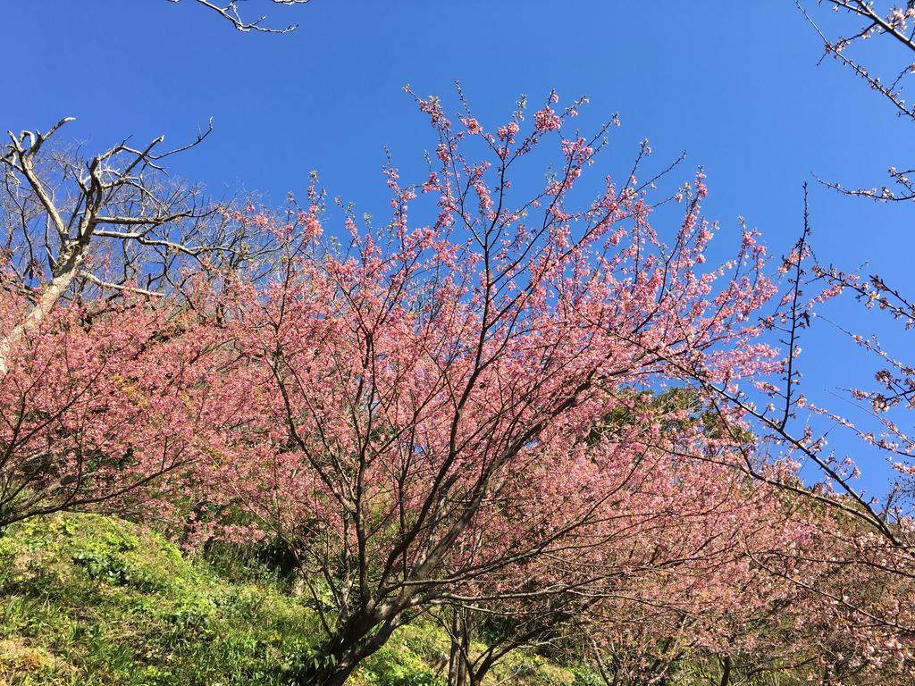 Dogashima Onsen Hotel Nishiizu Zewnętrze zdjęcie